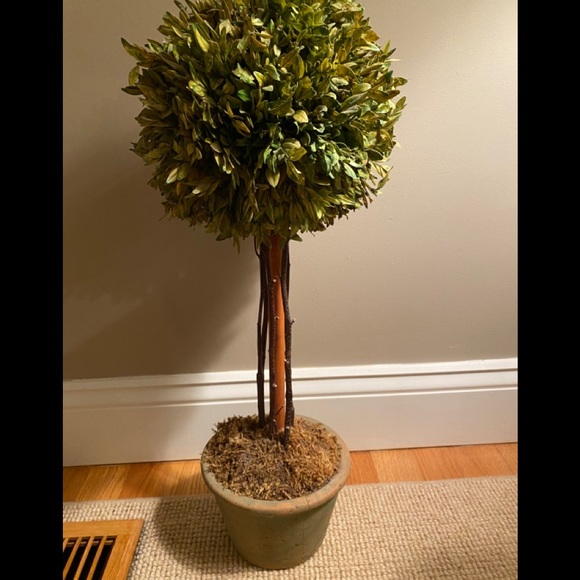 HOME- dried topiary